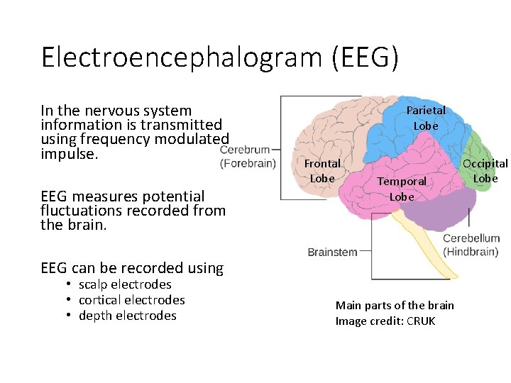 Electroencephalogram (EEG) In the nervous system information is transmitted using frequency modulated impulse. EEG