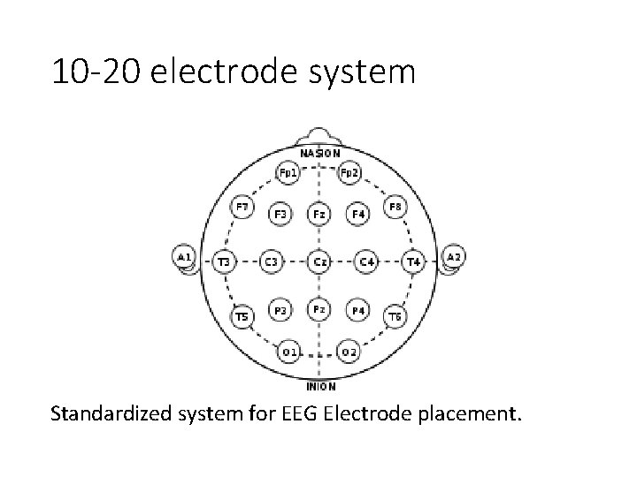 10 -20 electrode system Standardized system for EEG Electrode placement. 