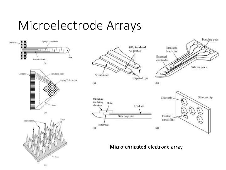 Microelectrode Arrays Microfabricated electrode array 