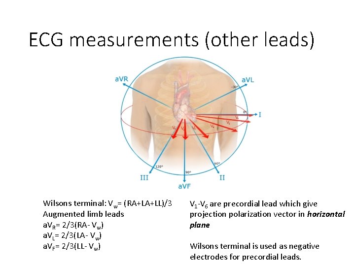 ECG measurements (other leads) Wilsons terminal: Vw= (RA+LA+LL)/3 Augmented limb leads a. VR= 2/3(RA-
