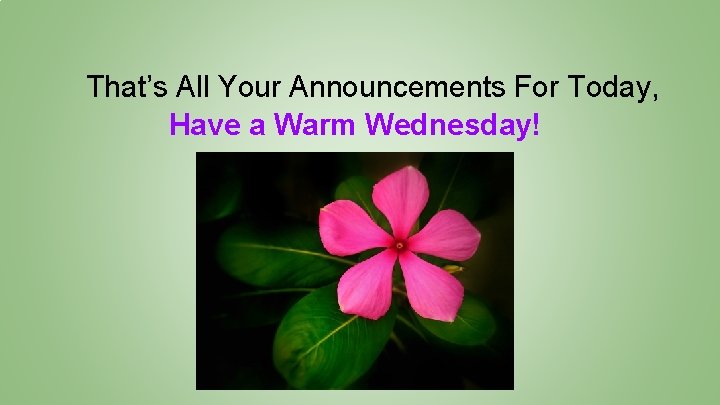 That’s All Your Announcements For Today, Have a Warm Wednesday! 