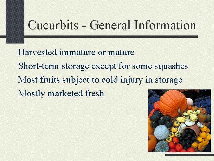 Cucurbits - General Information Harvested immature or mature Short-term storage except for some squashes