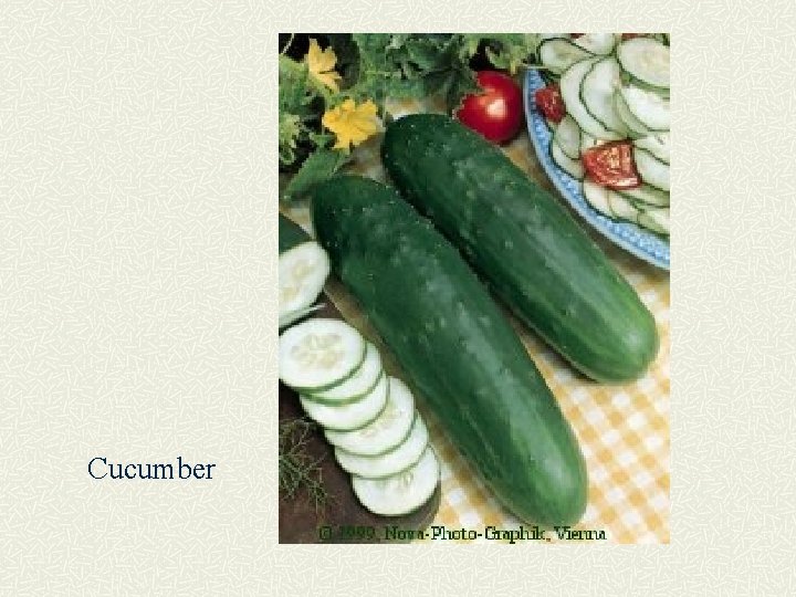 Cucumber 