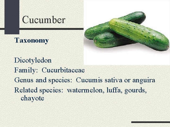 Cucumber Taxonomy Dicotyledon Family: Cucurbitaceae Genus and species: Cucumis sativa or anguira Related species: