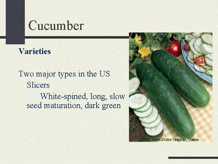 Cucumber Varieties Two major types in the US Slicers White-spined, long, slow seed maturation,