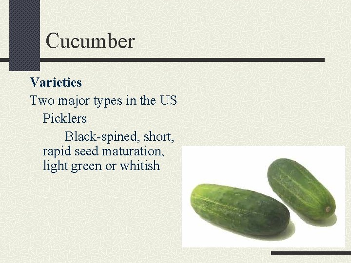 Cucumber Varieties Two major types in the US Picklers Black-spined, short, rapid seed maturation,