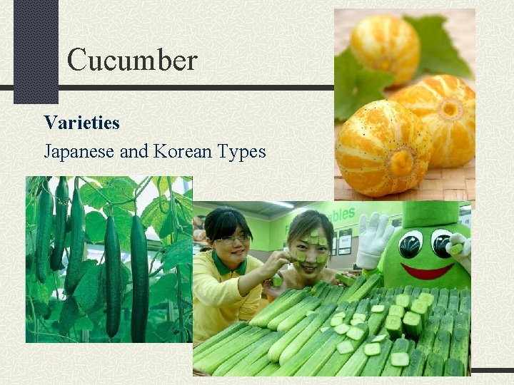 Cucumber Varieties Japanese and Korean Types 