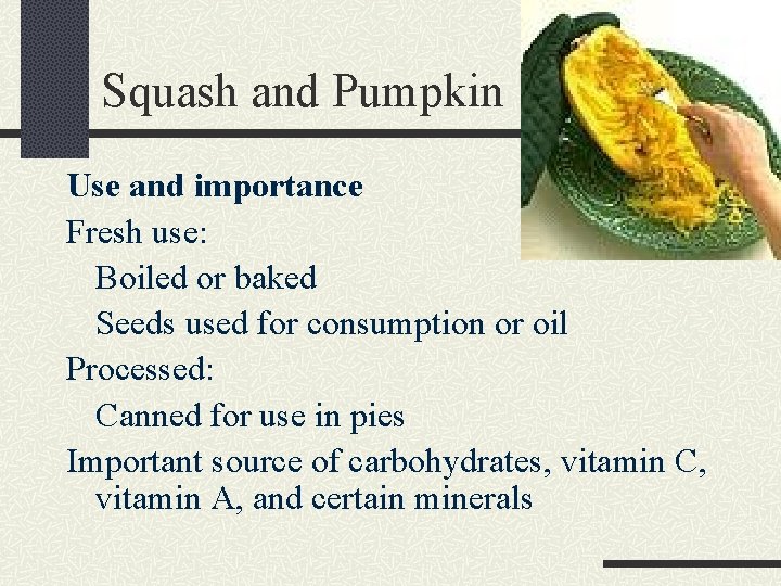 Squash and Pumpkin Use and importance Fresh use: Boiled or baked Seeds used for