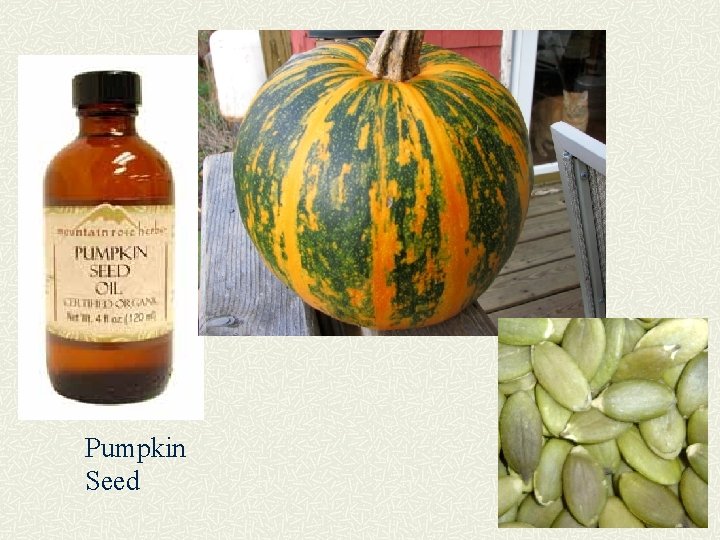 Pumpkin Seed 