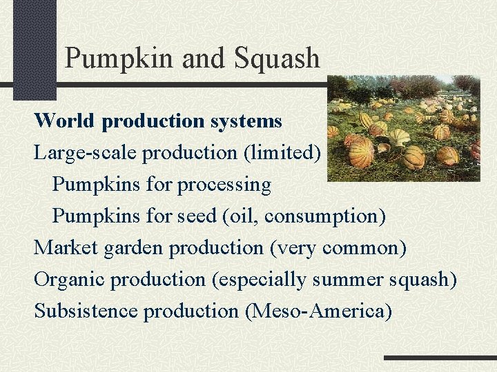 Pumpkin and Squash World production systems Large-scale production (limited) Pumpkins for processing Pumpkins for