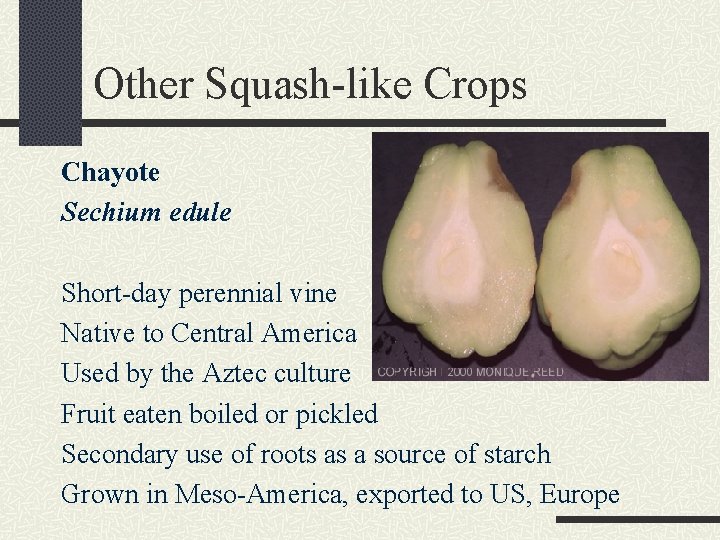 Other Squash-like Crops Chayote Sechium edule Short-day perennial vine Native to Central America Used