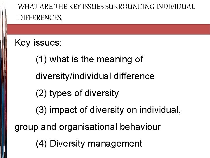 WHAT ARE THE KEY ISSUES SURROUNDING INDIVIDUAL DIFFERENCES, Key issues: (1) what is the