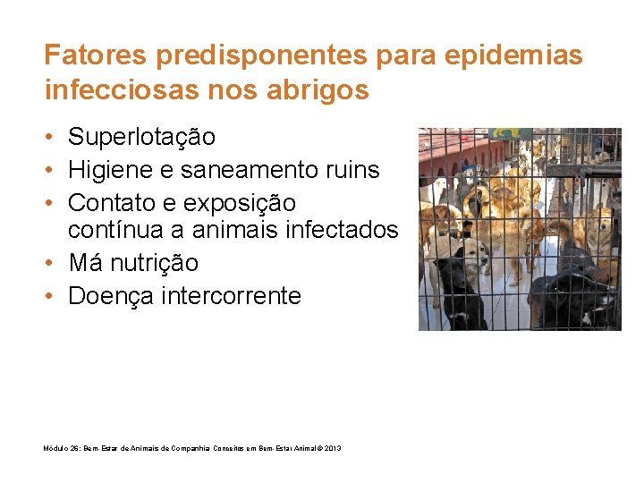 Fatores predisponentes para epidemias infecciosas nos abrigos • Superlotação • Higiene e saneamento ruins