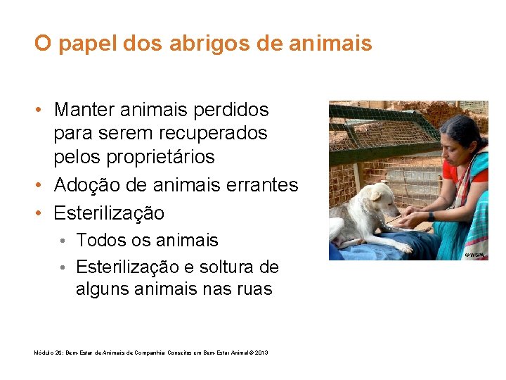 O papel dos abrigos de animais • Manter animais perdidos para serem recuperados pelos