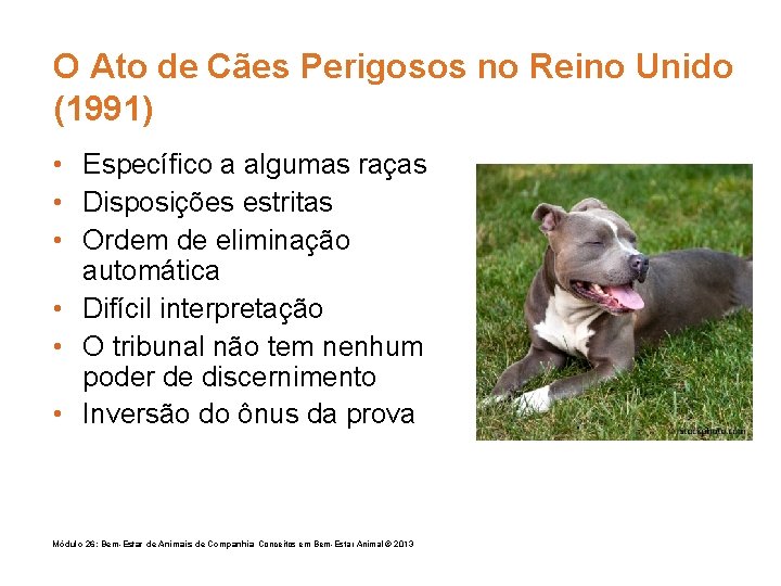 O Ato de Cães Perigosos no Reino Unido (1991) • Específico a algumas raças