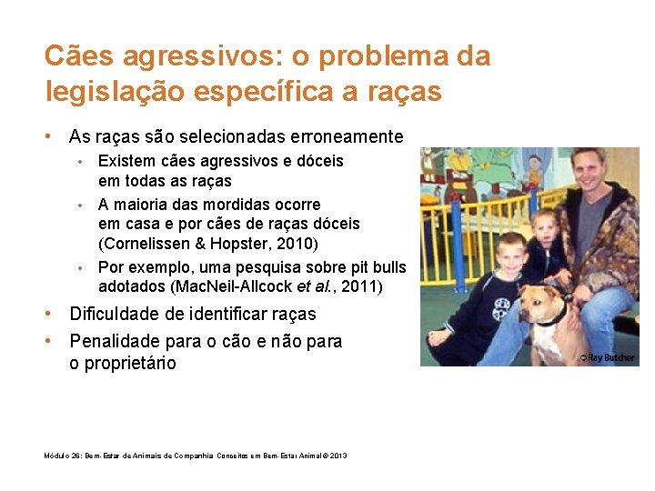 Cães agressivos: o problema da legislação específica a raças • As raças são selecionadas