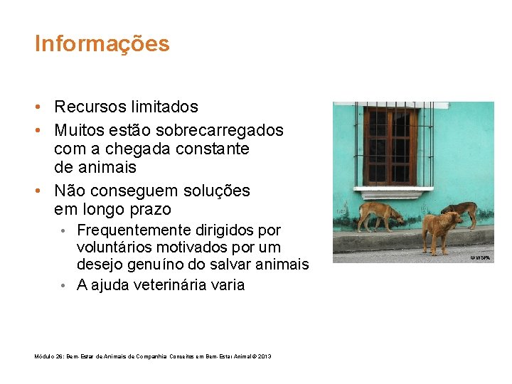 Informações • Recursos limitados • Muitos estão sobrecarregados com a chegada constante de animais