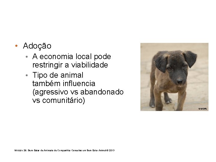  • Adoção • A economia local pode restringir a viabilidade • Tipo de