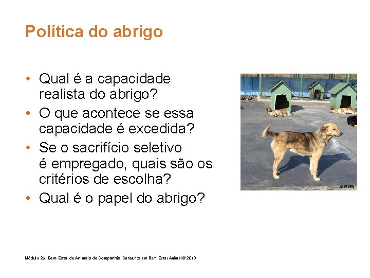 Política do abrigo • Qual é a capacidade realista do abrigo? • O que