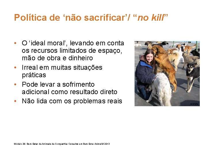 Política de ‘não sacrificar’/ “no kill” • O ‘ideal moral’, levando em conta os