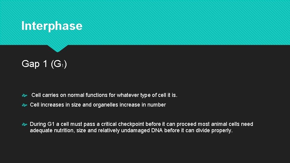 Interphase Gap 1 (G 1) Cell carries on normal functions for whatever type of