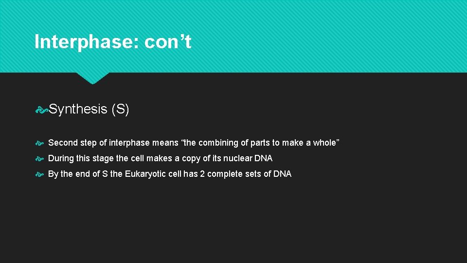 Interphase: con’t Synthesis (S) Second step of interphase means “the combining of parts to