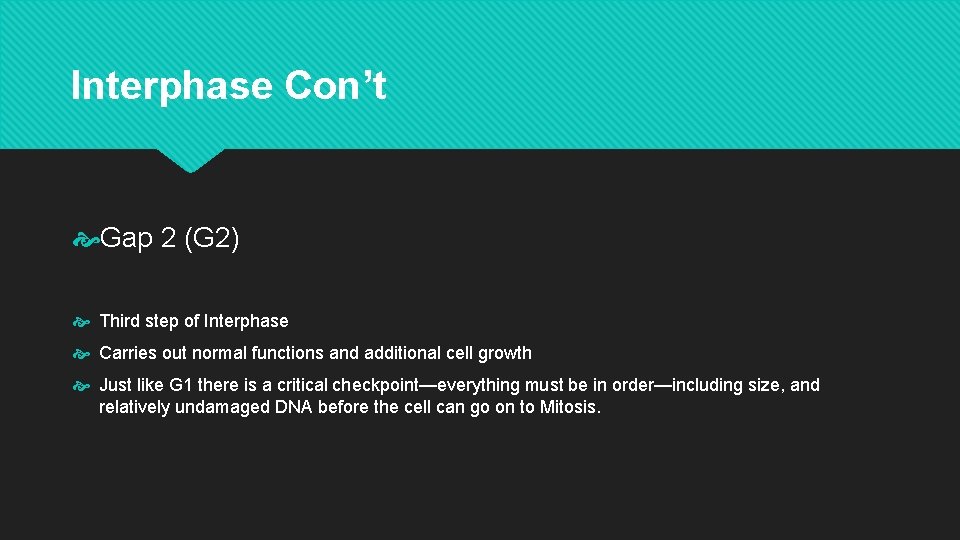 Interphase Con’t Gap 2 (G 2) Third step of Interphase Carries out normal functions