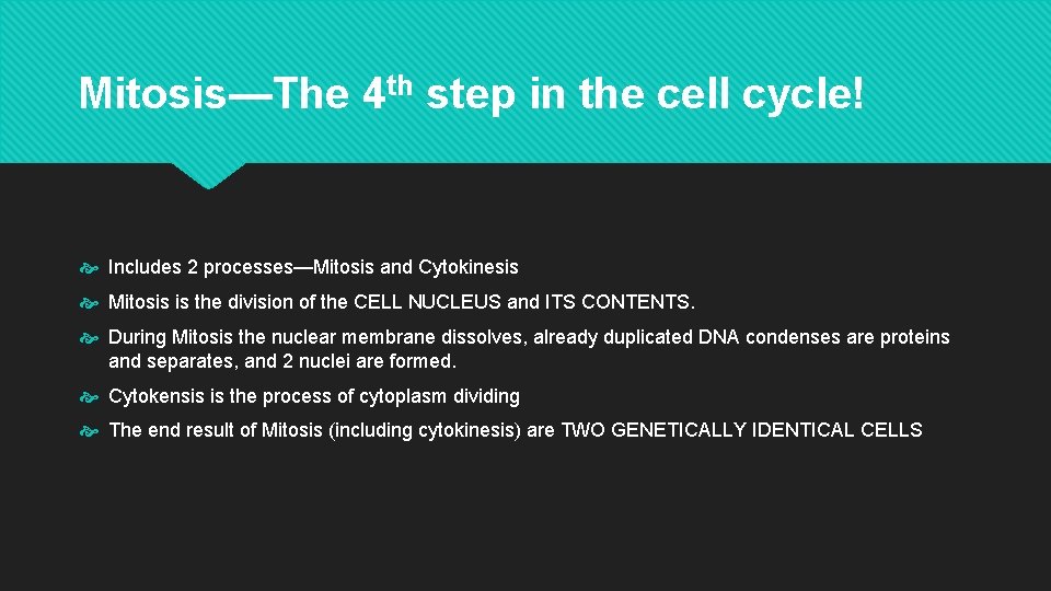 Mitosis—The 4 th step in the cell cycle! Includes 2 processes—Mitosis and Cytokinesis Mitosis