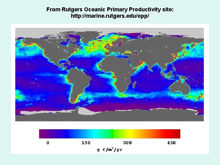 From Rutgers Oceanic Primary Productivity site: http: //marine. rutgers. edu/opp/ 