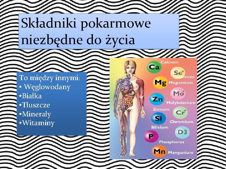 Składniki pokarmowe niezbędne do życia To między innymi: • Węglowodany • Białka • Tłuszcze