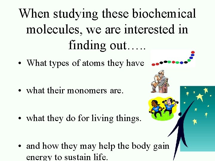 When studying these biochemical molecules, we are interested in finding out…. . • What