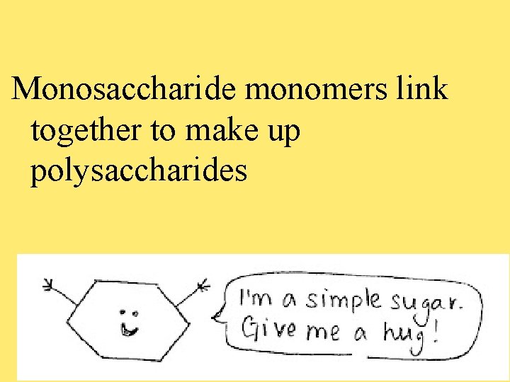 Monosaccharide monomers link together to make up polysaccharides 