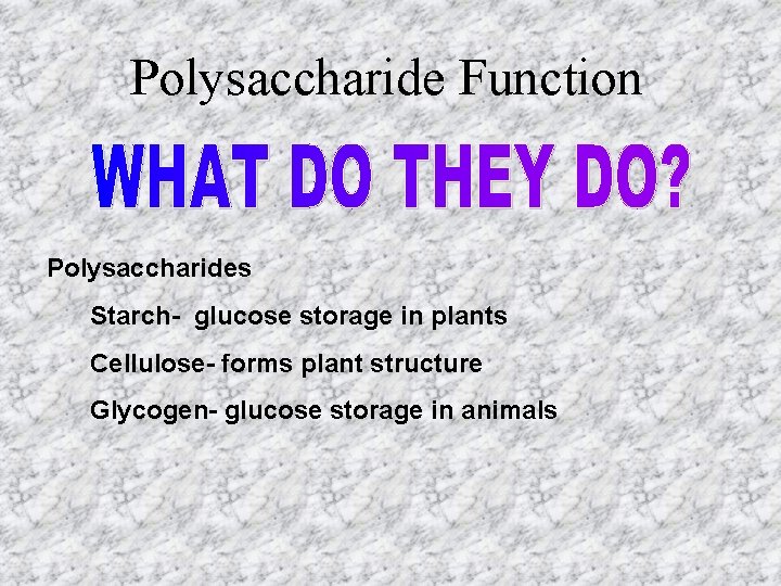 Polysaccharide Function Polysaccharides Starch- glucose storage in plants Cellulose- forms plant structure Glycogen- glucose