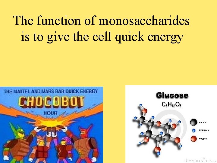 The function of monosaccharides is to give the cell quick energy 