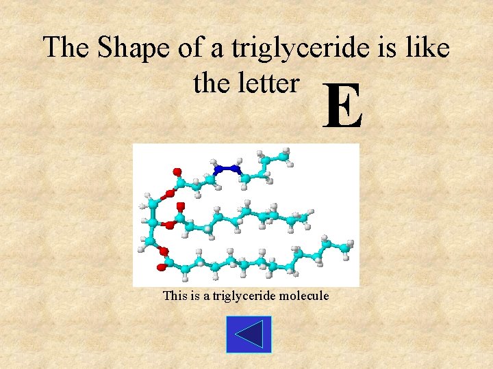 The Shape of a triglyceride is like the letter E This is a triglyceride