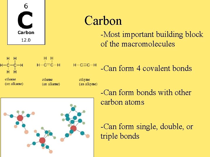 Carbon -Most important building block of the macromolecules -Can form 4 covalent bonds -Can