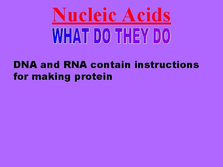 Nucleic Acids DNA and RNA contain instructions for making protein 