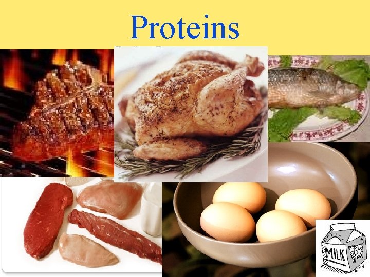 Proteins 