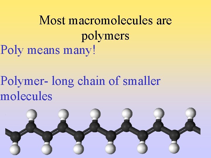 Most macromolecules are polymers Poly means many! Polymer- long chain of smaller molecules 