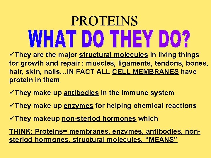 PROTEINS They are the major structural molecules in living things for growth and repair