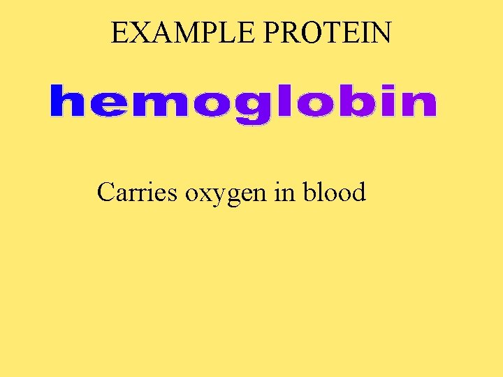 EXAMPLE PROTEIN Carries oxygen in blood 