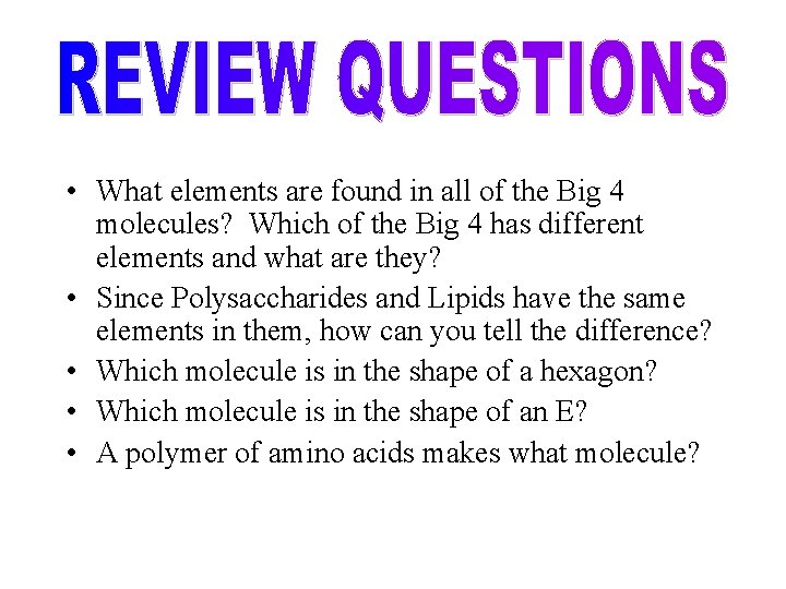 • What elements are found in all of the Big 4 molecules? Which