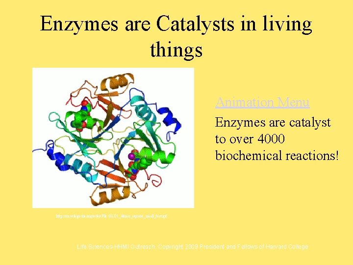 Enzymes are Catalysts in living things Animation Menu Enzymes are catalyst to over 4000