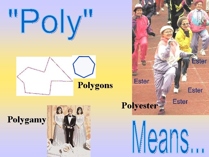 Polygons Polyester Polygamy 