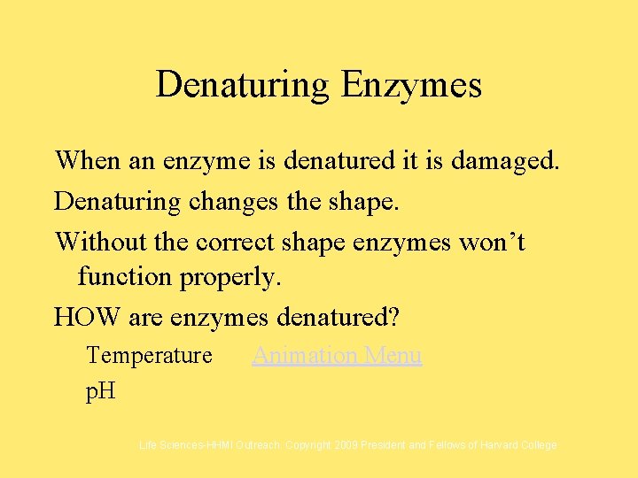 Denaturing Enzymes When an enzyme is denatured it is damaged. Denaturing changes the shape.