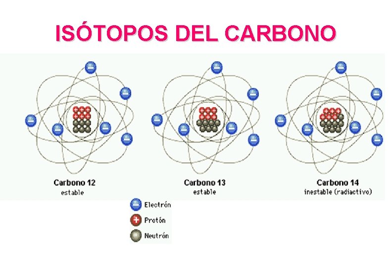 ISÓTOPOS DEL CARBONO 