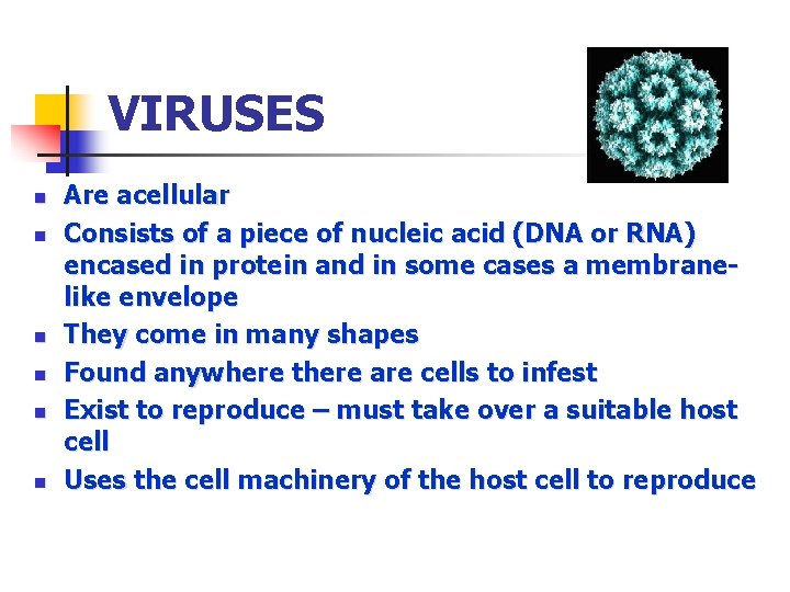 VIRUSES n n n Are acellular Consists of a piece of nucleic acid (DNA