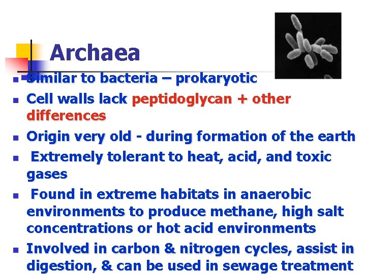 Archaea n n n Similar to bacteria – prokaryotic Cell walls lack peptidoglycan +