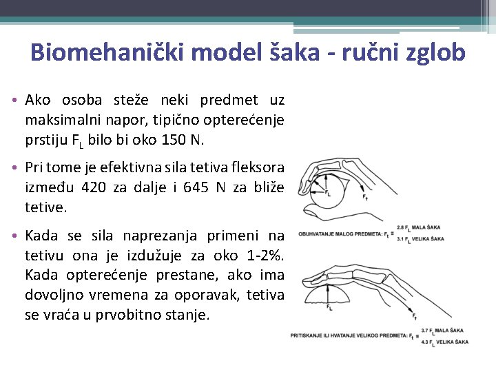 Biomehanički model šaka - ručni zglob • Ako osoba steže neki predmet uz maksimalni