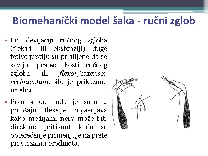 Biomehanički model šaka - ručni zglob • Pri devijaciji ručnog zgloba (fleksiji ili ekstenziji)